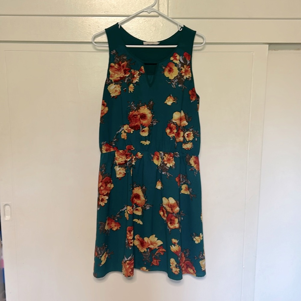Barely worn 41 Hawthorn Dress